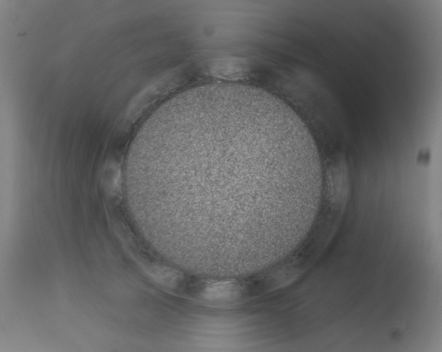 X0000113000705200910081158