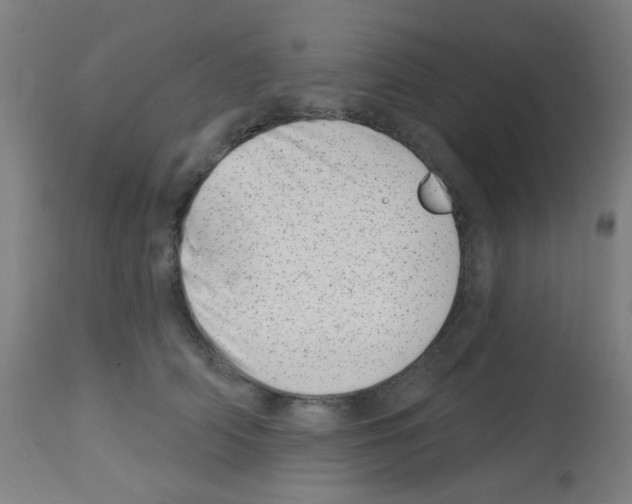 X0000113000706200910081158