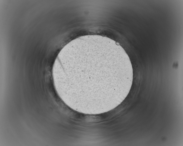 X0000113000707200910081158