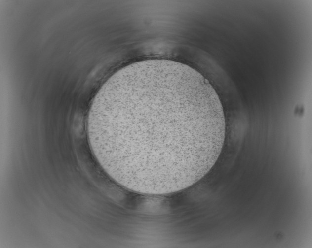 X0000113000709200910081158