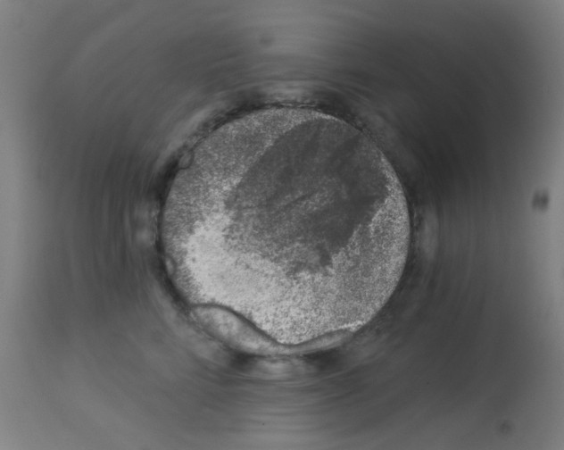 X0000113000712200910081158