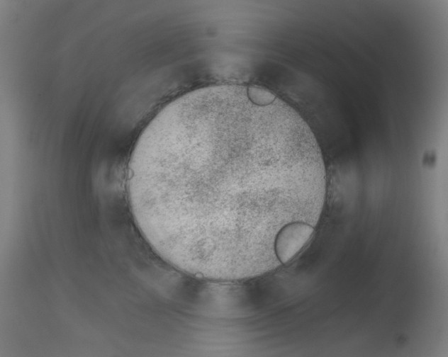 X0000113000713200910081158