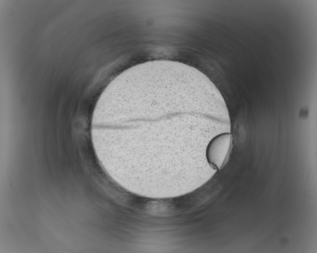 X0000113000714200910081158