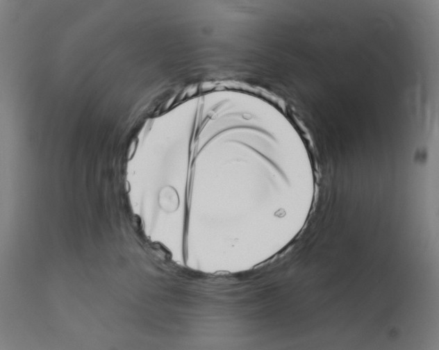 X0000113000716200910081158