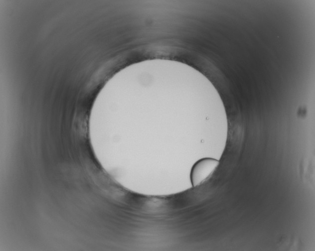 X0000113000718200910081158