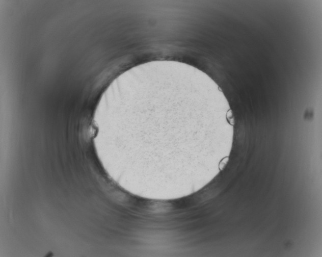 X0000113000719200910081158