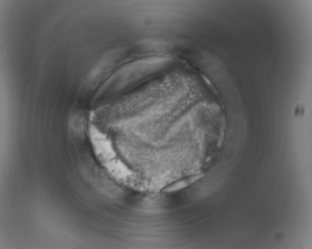 X0000113000720200910081158