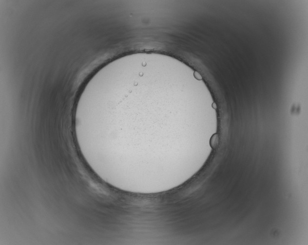 X0000113000721200910081157