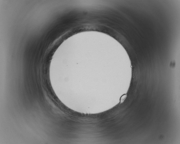 X0000113000722200910081157