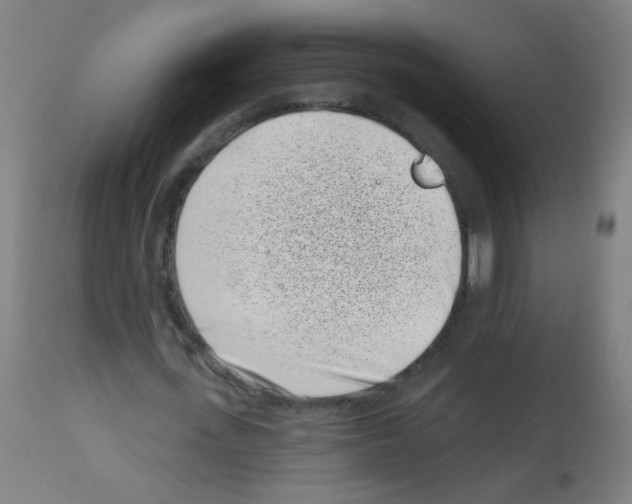 X0000113000723200910081157