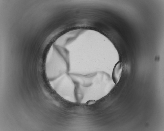 X0000113000724200910081157