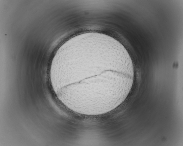 X0000113000725200910081157