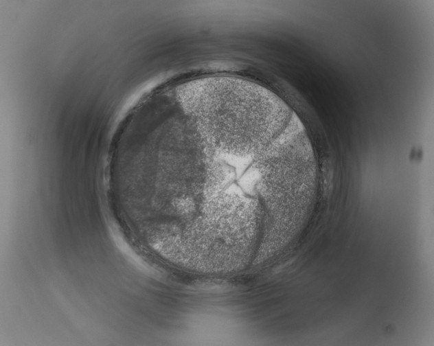 X0000113000726200910081157