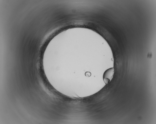 X0000113000728200910081157