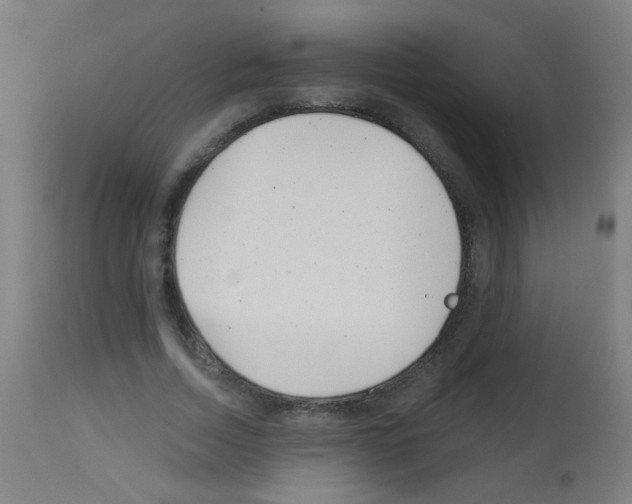 X0000113000730200910081157