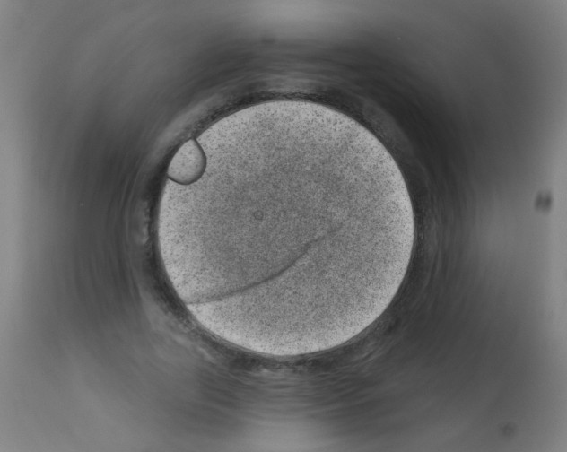 X0000113000731200910081157