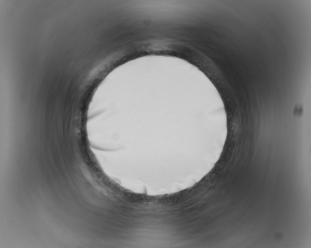 X0000113000732200910081157