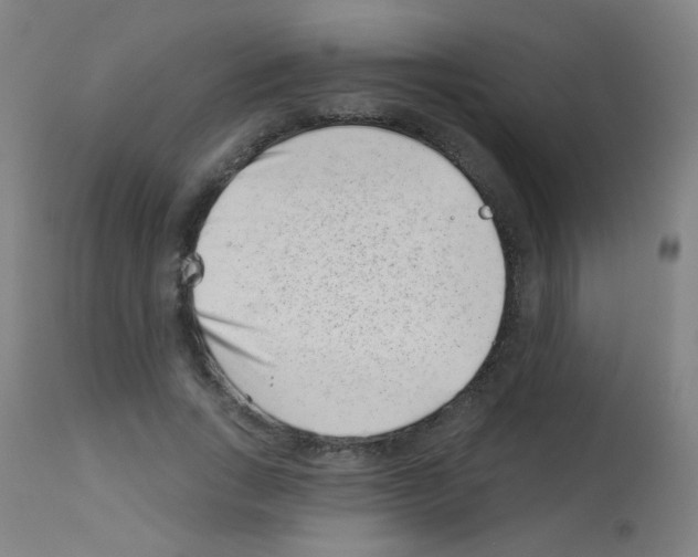 X0000113000735200910081157