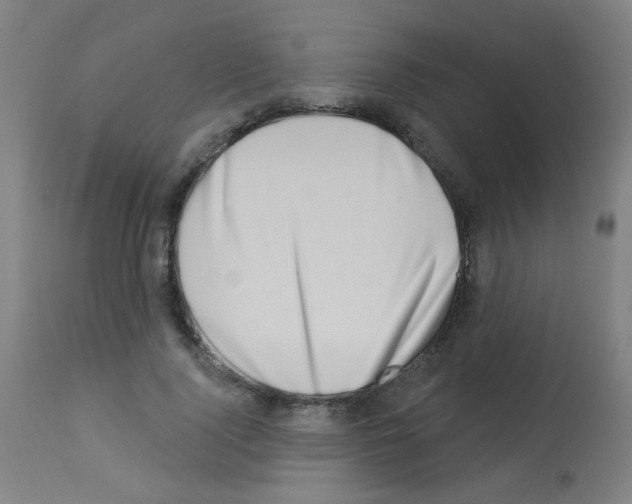 X0000113000740200910081157