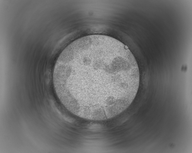 X0000113000741200910081157