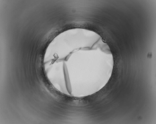 X0000113000744200910081157