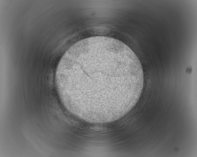 X0000113000745200910081157