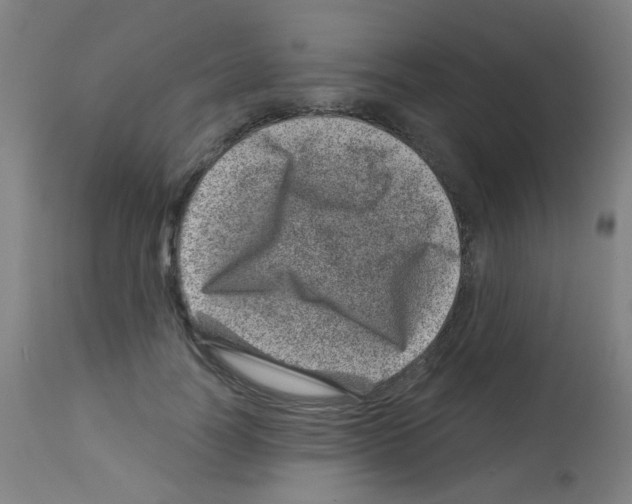 X0000113000746200910081157