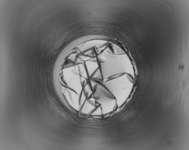 X0000113000750200910081157