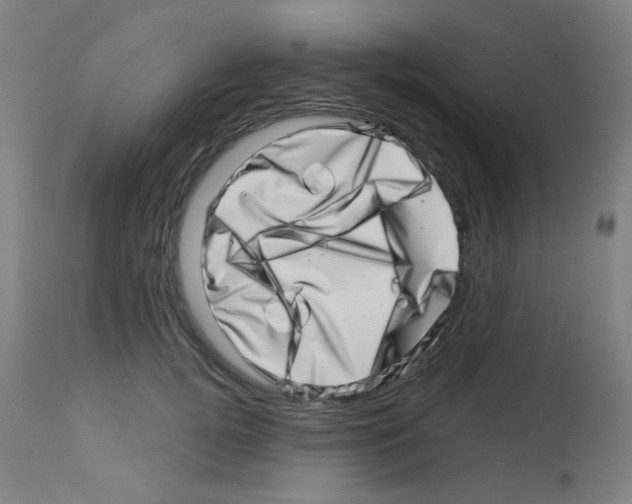 X0000113000752200910081157