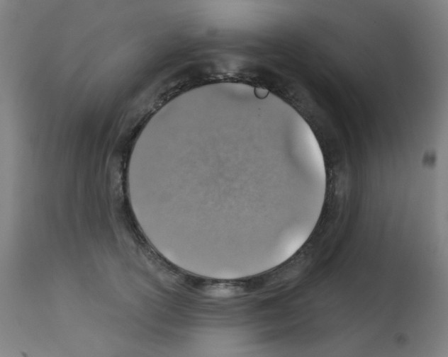 X0000113000754200910081158