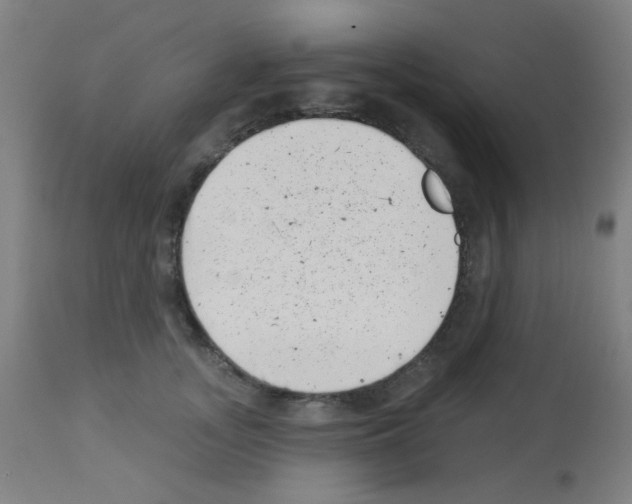 X0000113000755200910081158