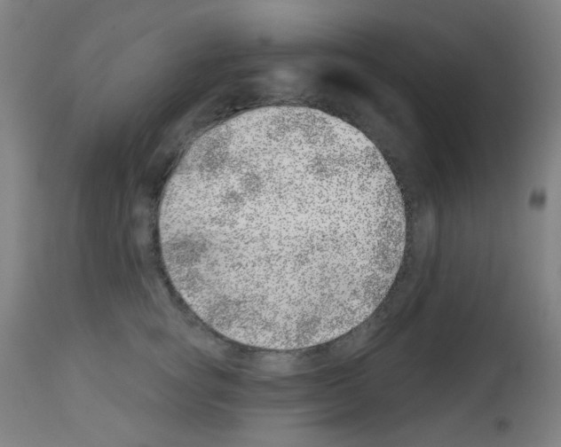 X0000113000757200910081158