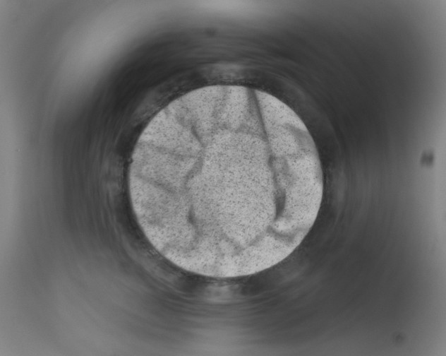 X0000113000760200910081158