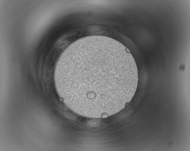 X0000113000761200910081158