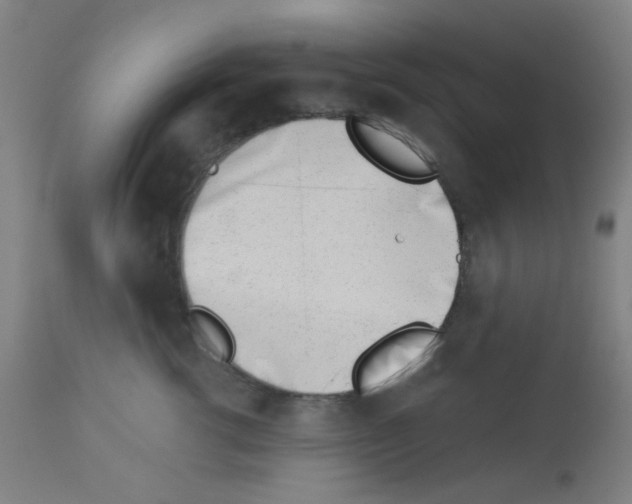 X0000113000762200910081158