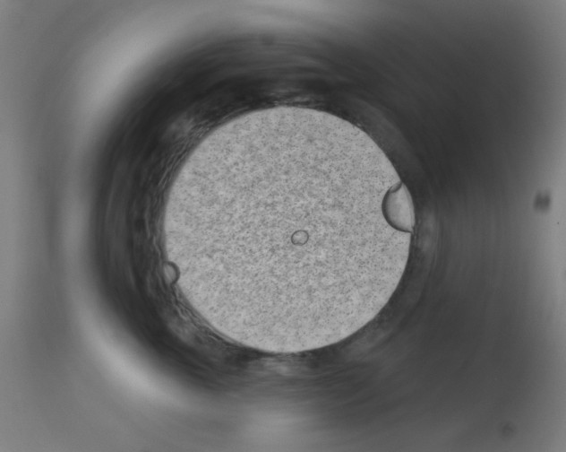 X0000113000763200910081158