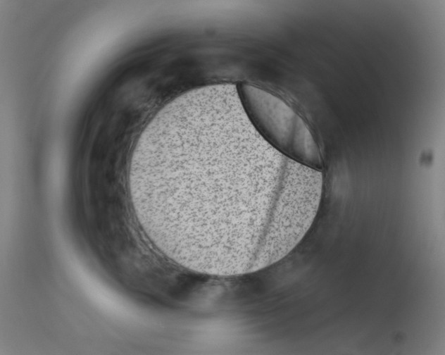 X0000113000764200910081158