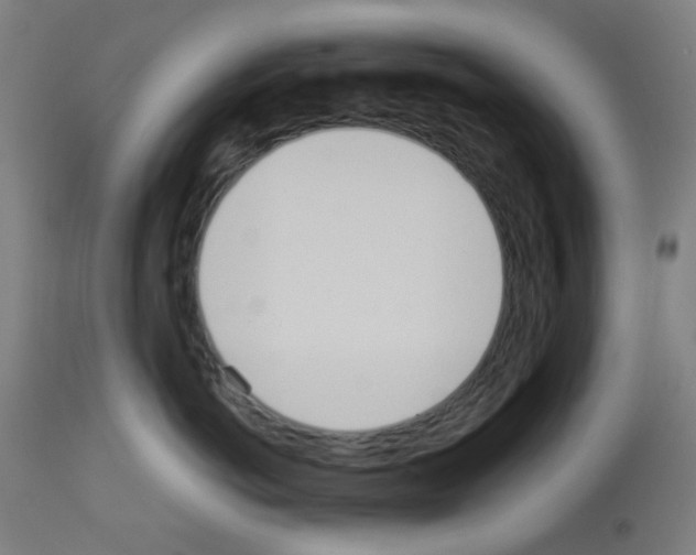 X0000113000766200910081158