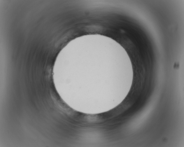 X0000113000767200910081158