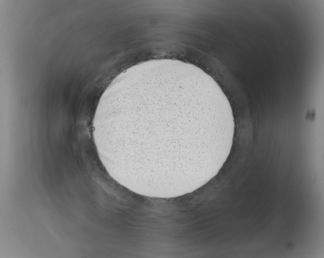 X0000113000770200910081157