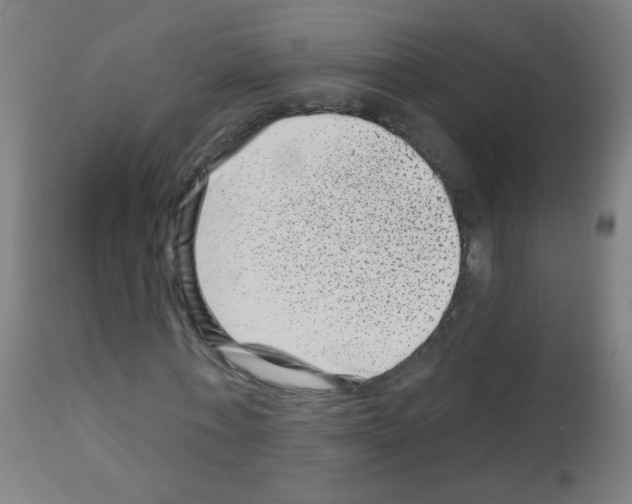 X0000113000771200910081157