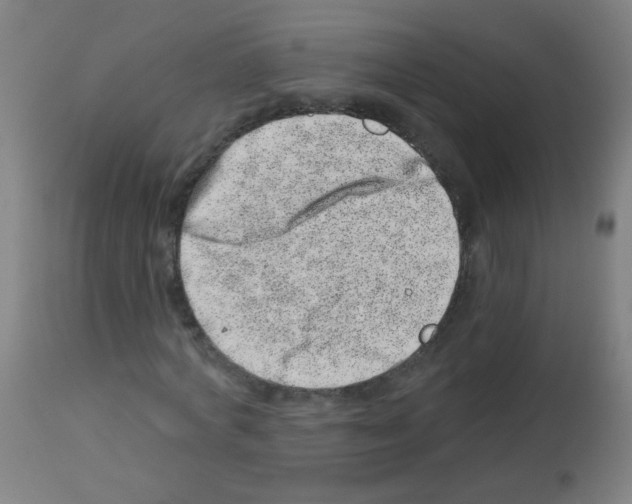 X0000113000772200910081157