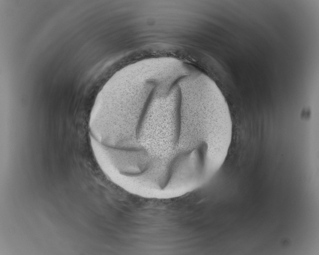 X0000113000773200910081157