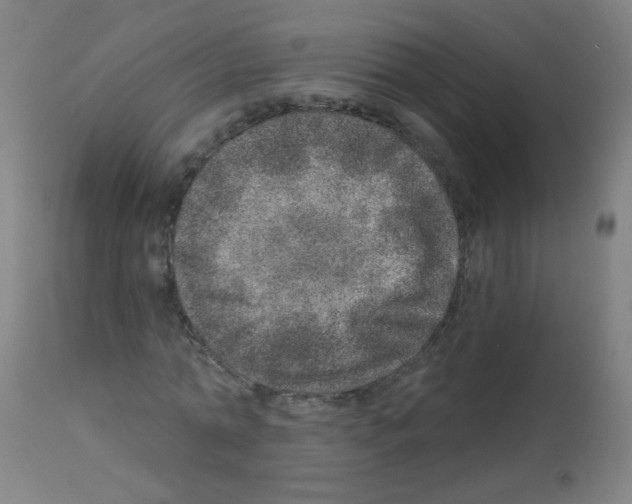 X0000113000774200910081157