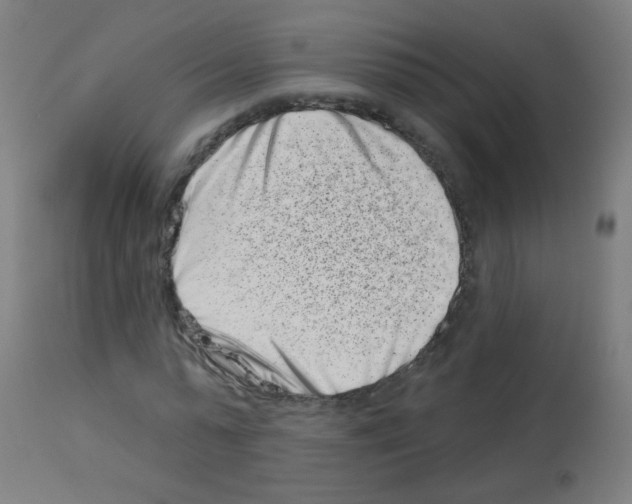 X0000113000775200910081157