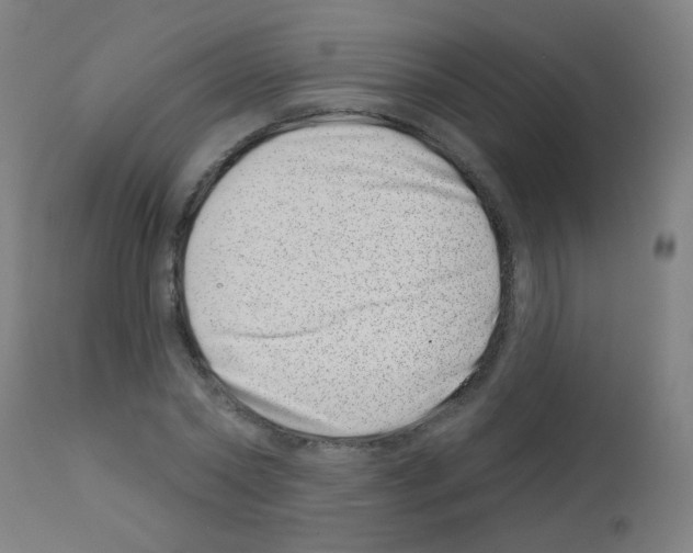 X0000113000782200910081157