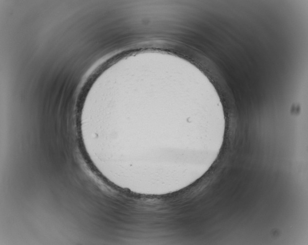 X0000113000784200910081156