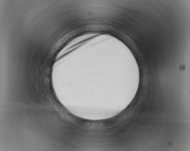 X0000113000786200910081156