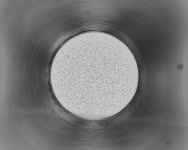 X0000113000787200910081156