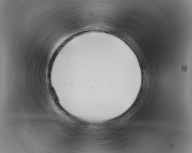 X0000113000788200910081156